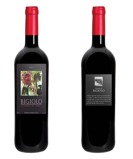 Il vino Bigiolo